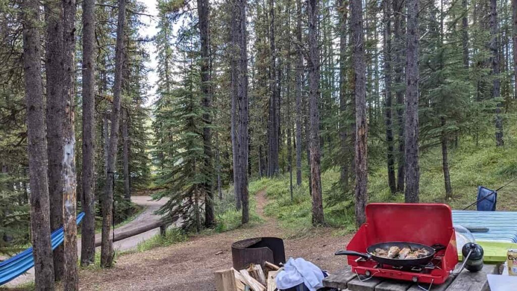 fly fishing trip Alberta Canada